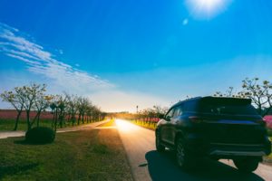 Auto futuro Natura